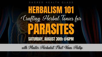HERBALISM 101: Crafting Herbal Tonics for Parasites