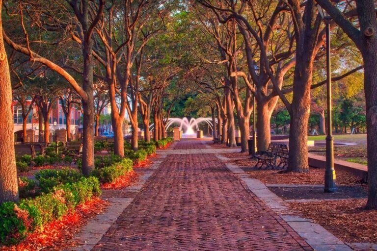 Things to Do in Charleston This Fall: 2026 Events, Festivals, Concerts & Lowcountry Traditions
