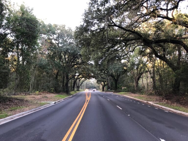 9 Grand Live Oaks to Be Removed as Maybank Highway Widening Moves Forward